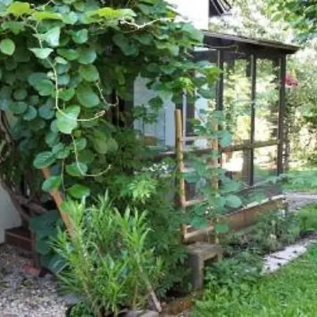 Apartment Ferienwohnung Noll Regensburg